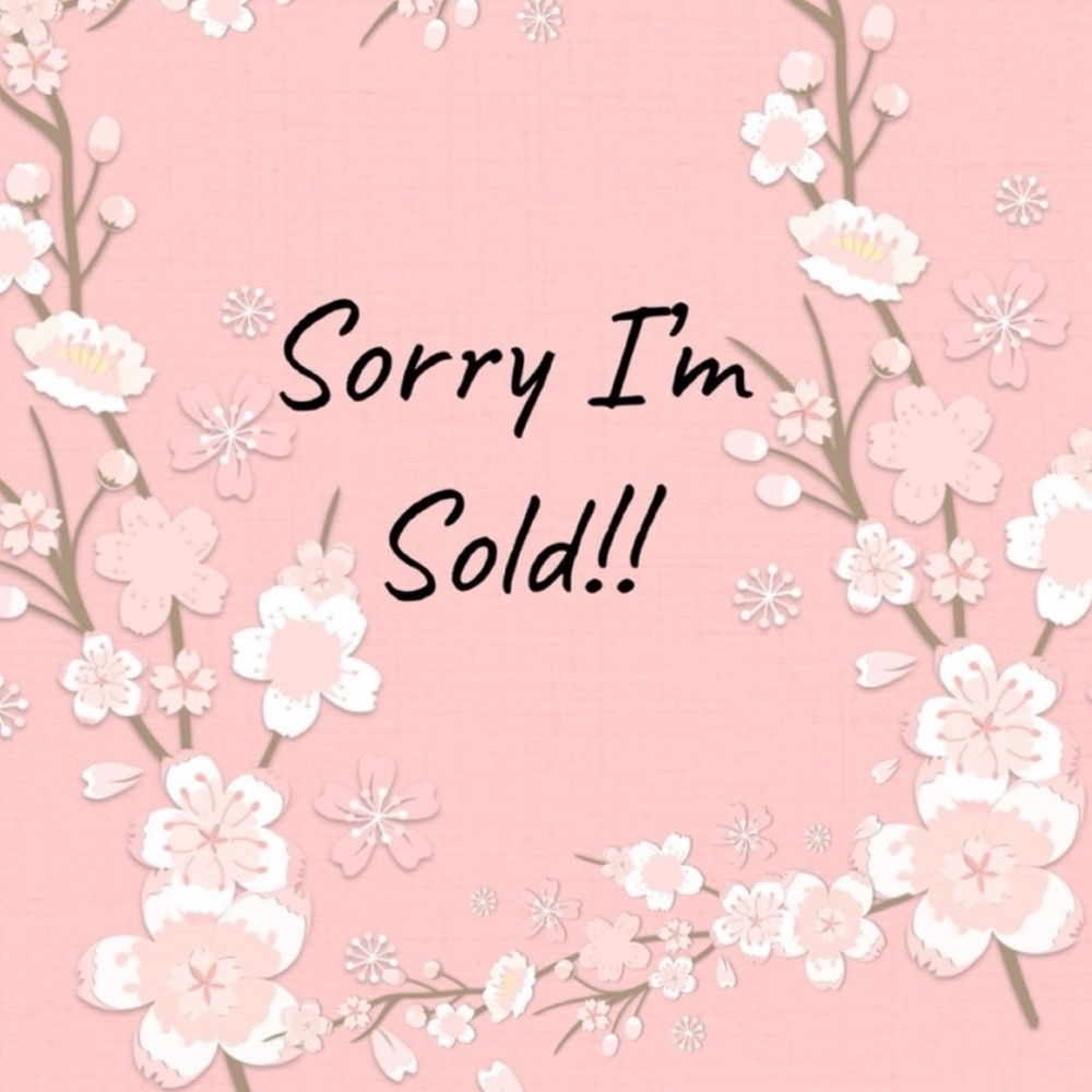 2024 Ms. Rachel speak and sing 20 phrases and songs